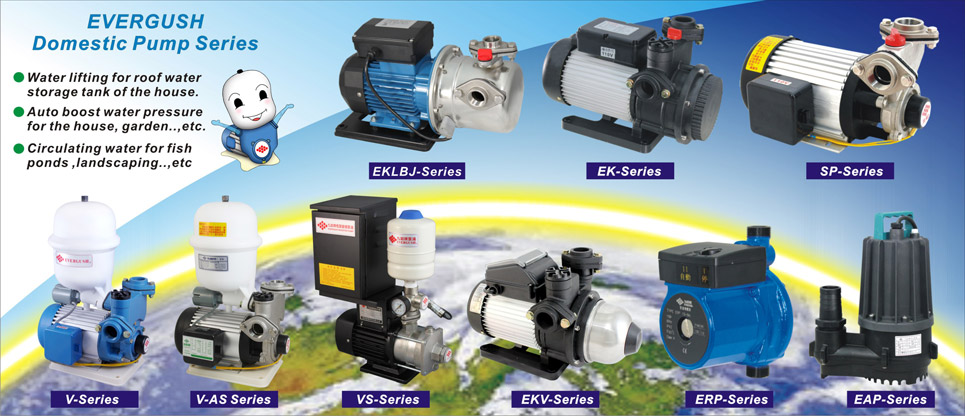 máy bơm nước evergush