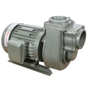 Bơm ly tâm trục ngang tự mồi Evergush SQD