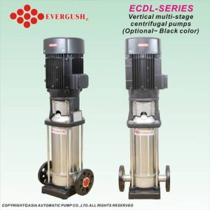 máy bơm ly tâm trục đứng evergush ECDL
