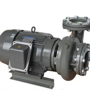 Máy bơm trục ngang Evergush CP