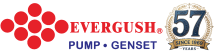 logo evergush
