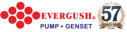 logo evergush